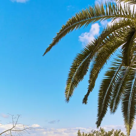 Ξενοδοχείο Castillo Son Vida, A Luxury Collection Hotel, Mallorca (adults Only) Πάλμα ντε Μαγιόρκα